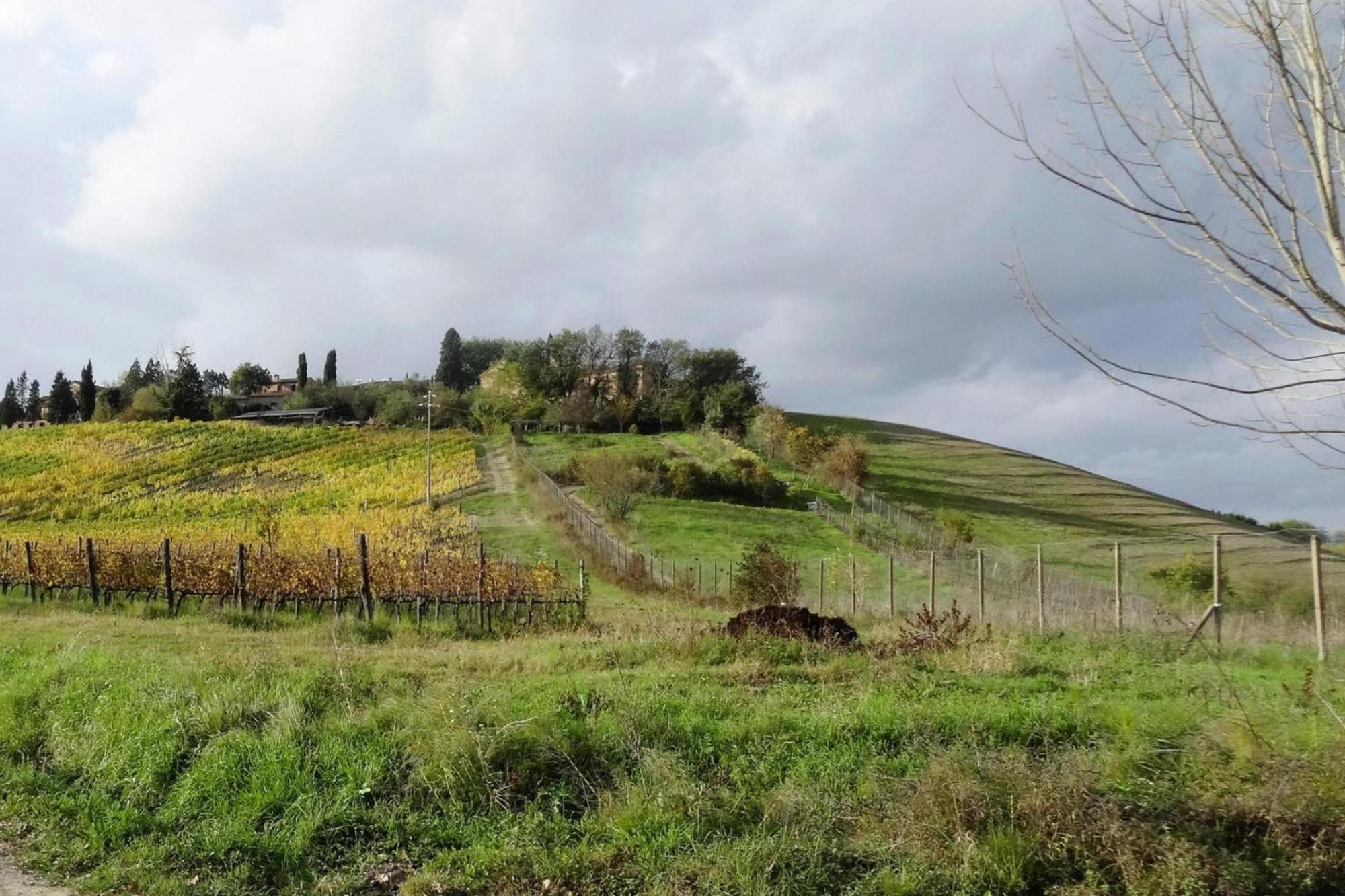 Fattoria Bio Pieve A Salti Montalcino Apartment Exterior foto